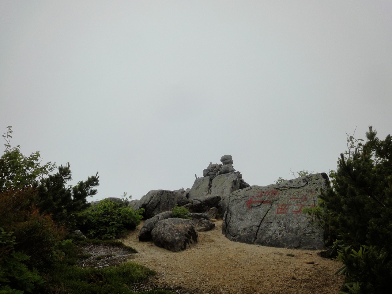 標識ないけど、茶臼山山頂。ここまで誰にもあいませんでした。
