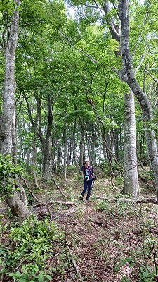 美しい下谷山付近の尾根①
