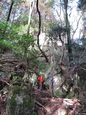 こちらも音羽山バリ山行恒例の大きな岩。歩いているととっても大きな岩に出くわします。