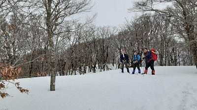 コヤマノ岳手前の冬枯れのブナ林