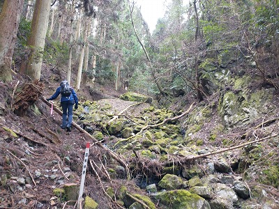 谷添いを歩く。苔の雰囲気がいいです。