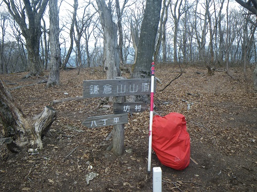 鎌倉谷山頂、ここもササなし,公園状態