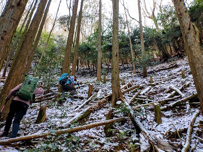 傾斜30度の獣道をトラバースしてからの急登です。雪景色がいいですね。