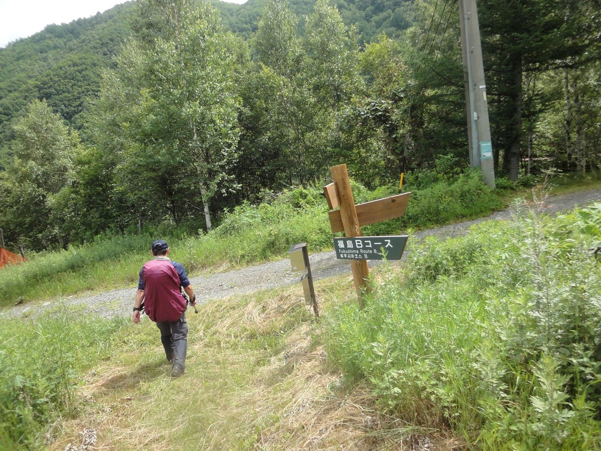 分岐に戻ってきました