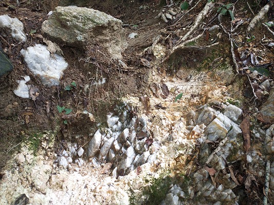 地層がはっきりわかり、白いきれいな石が埋まっています。水晶かと思いましたが違いますね。