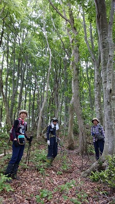美しい下谷山付近の尾根②