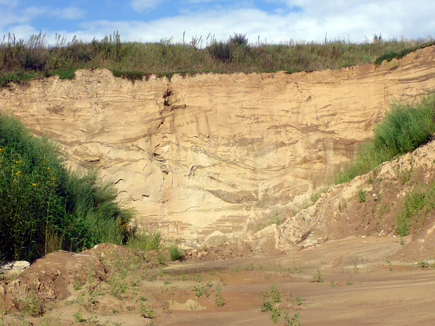 Abb. 3: Nordwand der Sandgrube Antoniberg mit Aufarbeitungslagen.