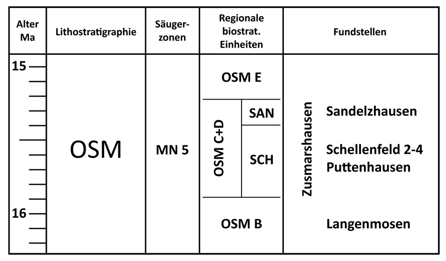 Abb. 6: Abbildung 6: Stratigraphische Übersicht ...