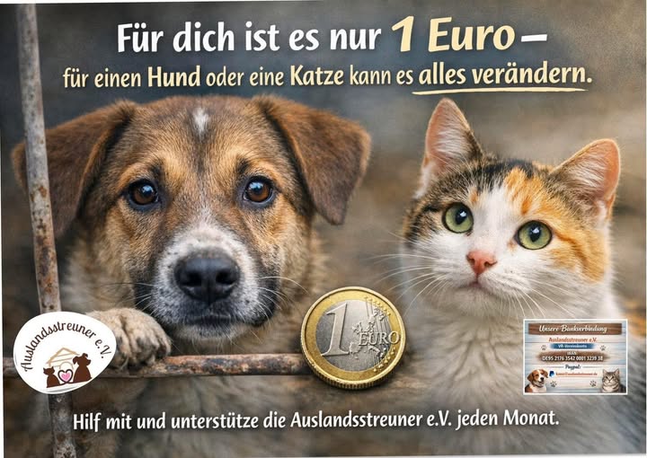 Nur 1 Euro im Monat