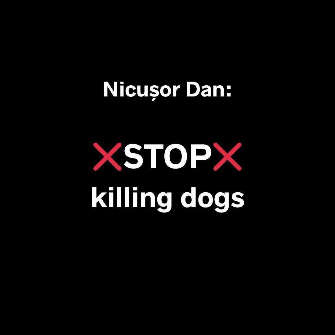 STOPP KILLING DOGS