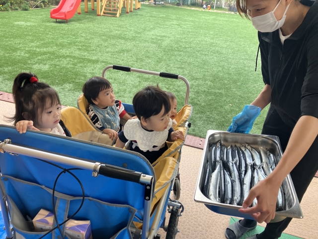 大きなさんまに ビックリ！