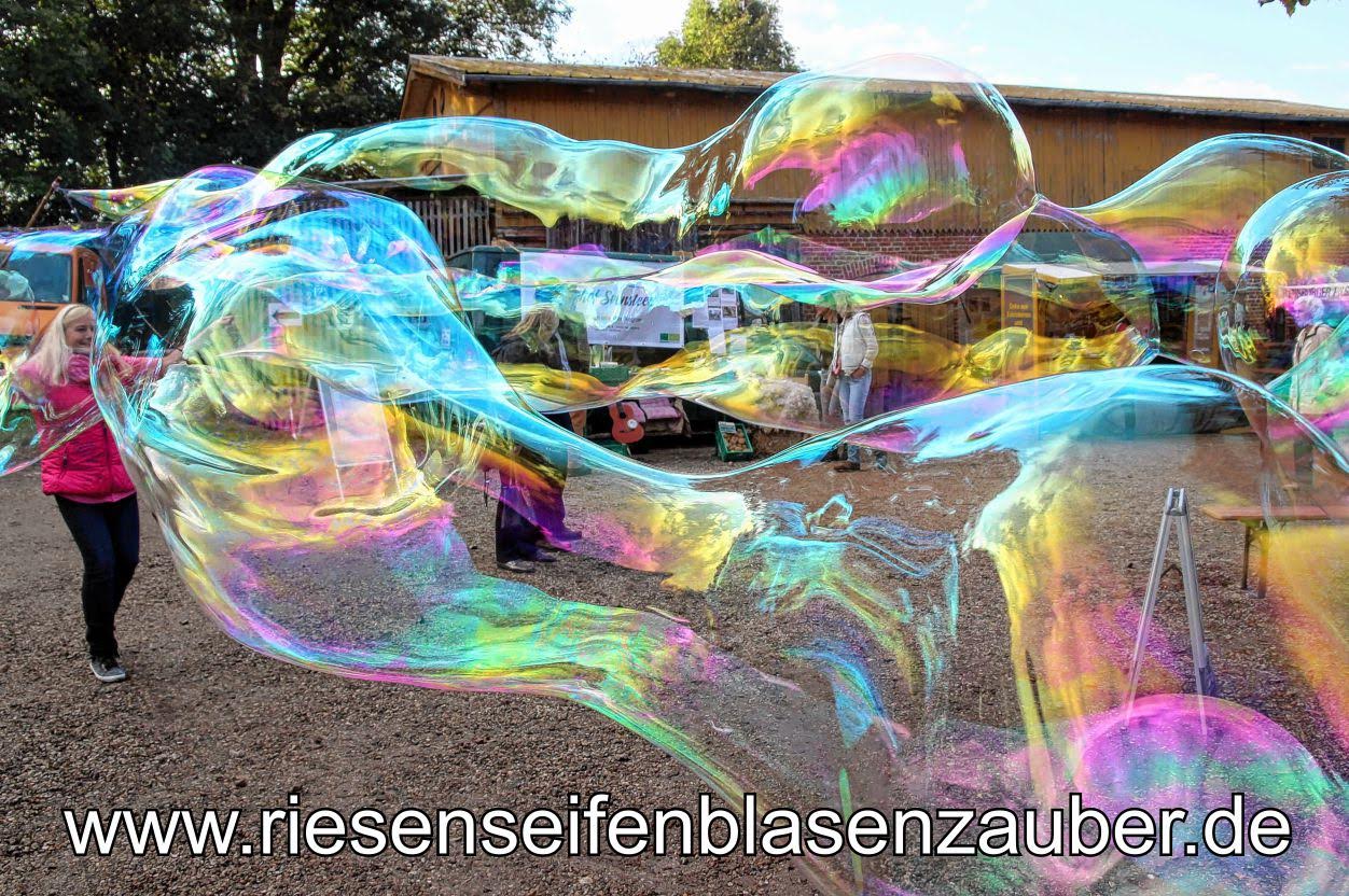 Titel: Seifenblasenzauber für Kinder: Spaß, Lernen und unvergessliche Momente