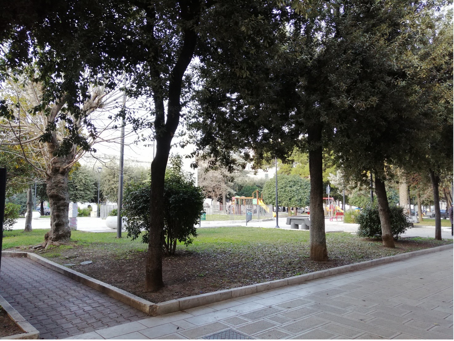 Piazza Vittorio Veneto - dettaglio area verde