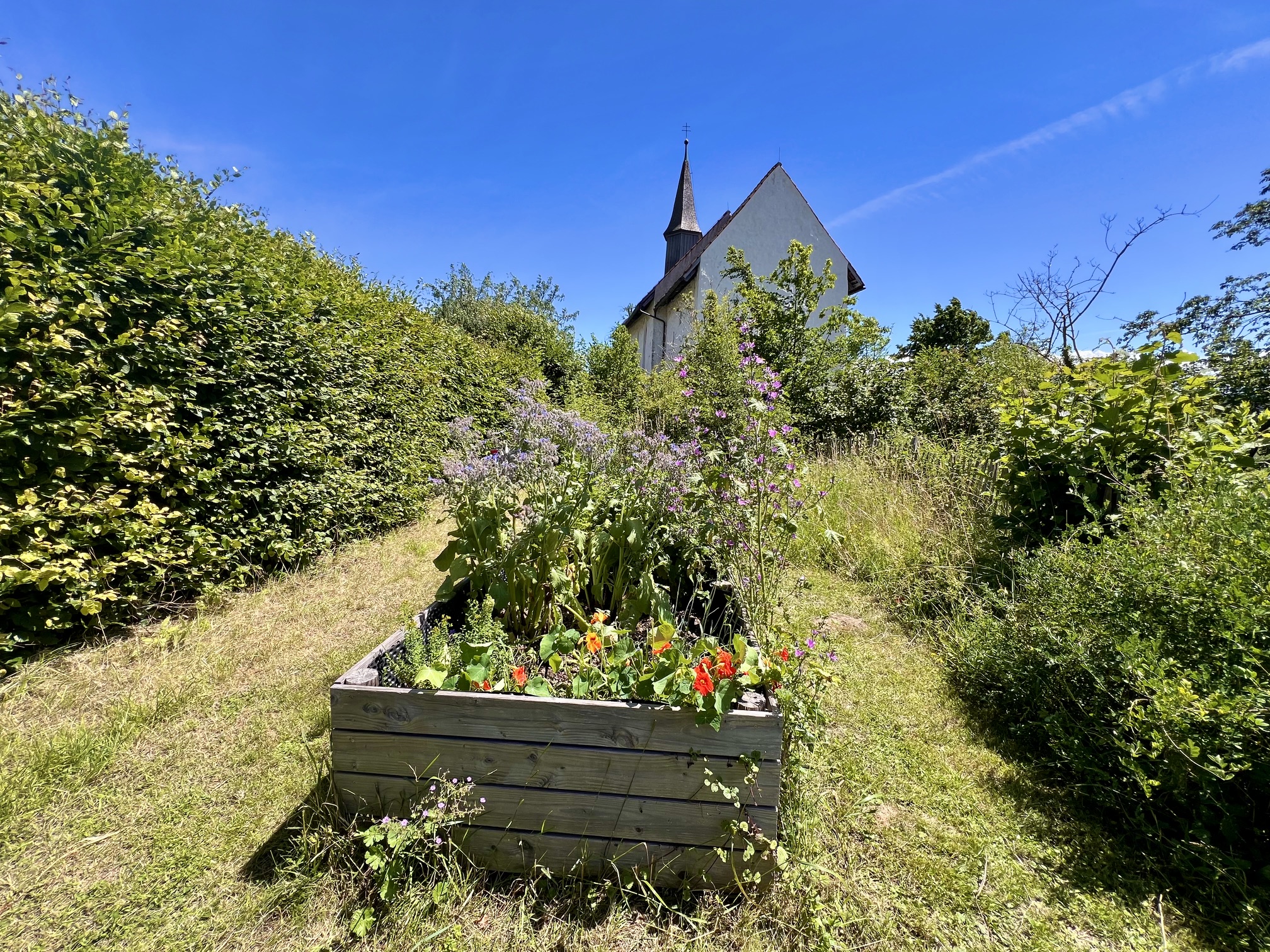 10 Uhr morgens: Noch warten der Insektengarten und das von Astrid schön gestaltete Hochbeet auf die ersten Gäste ...