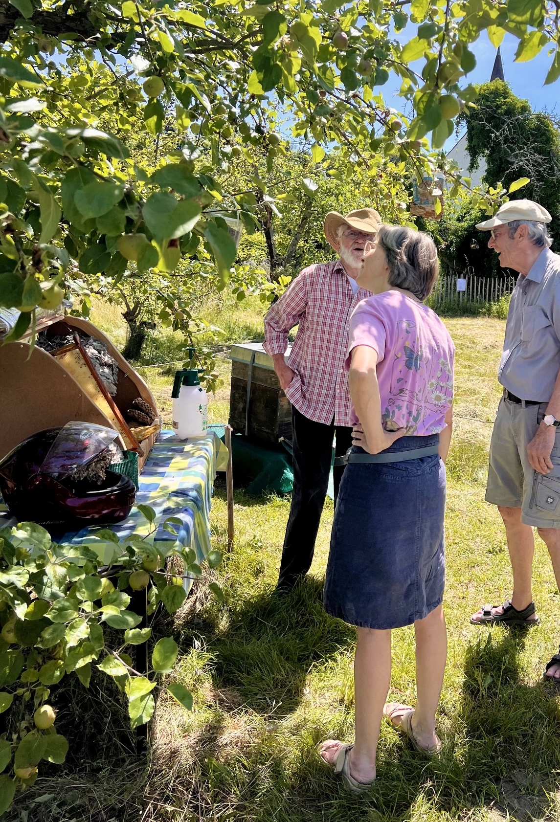 Nicht zuletzt begeisterte Imker Siggi Wehrle wieder mit Einblicken in die Bienenwelt und filigranen Nest-Exponaten ...