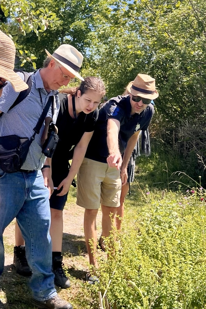...wobei auch Sophie Stöckl (Mitte) nach ihrer eigenen Insektenführung beim Arten-Bestimmen gern mit von der Partie war.