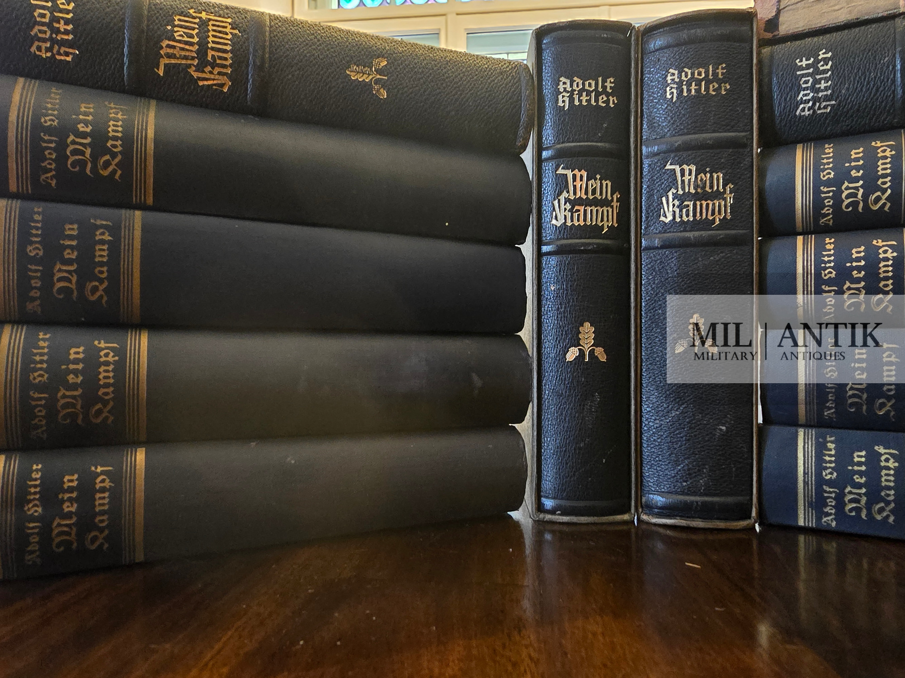 Mein Kampf Literatur
