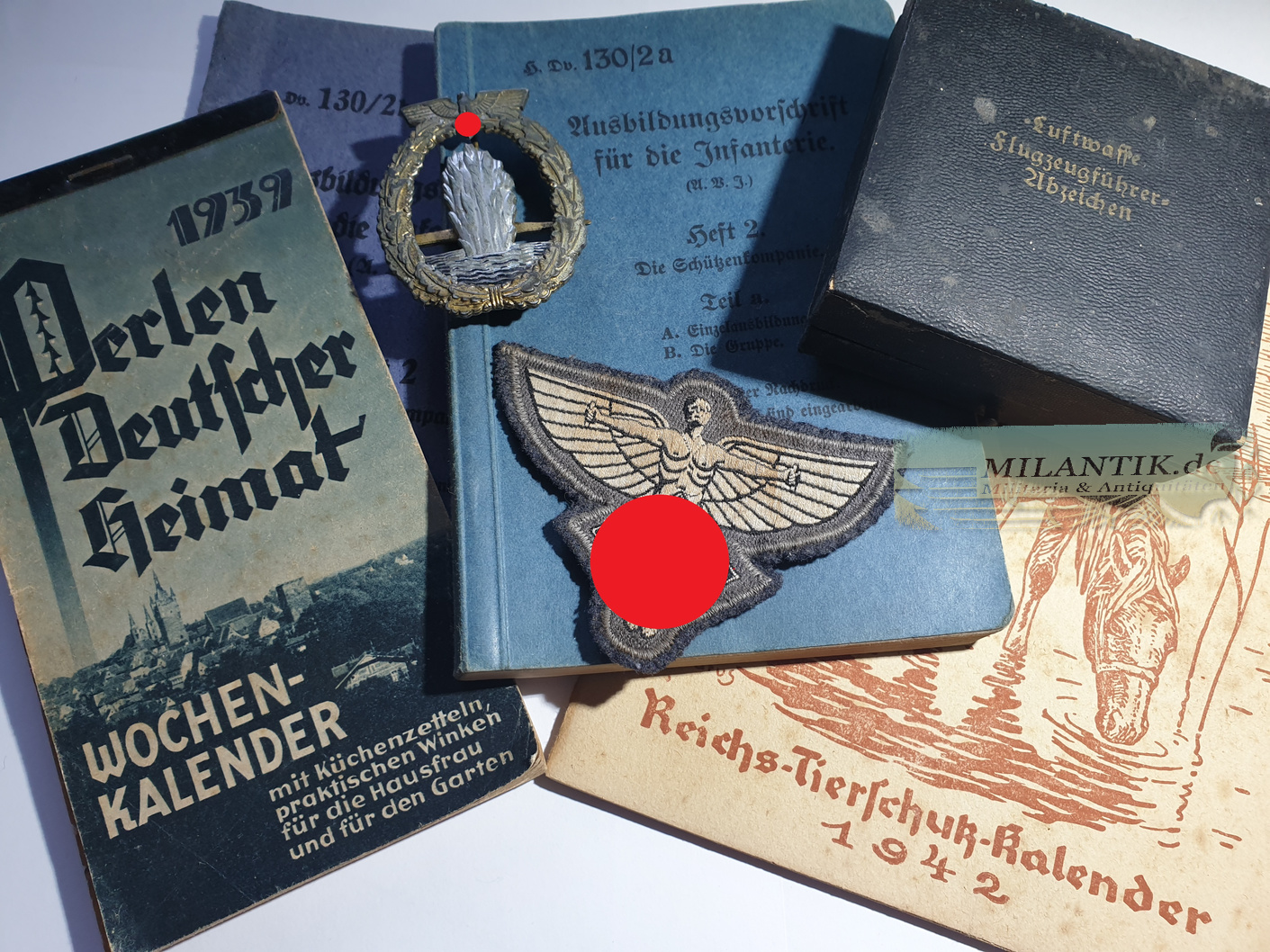 NSFK Fliegerkorps Flieger Luftwaffe