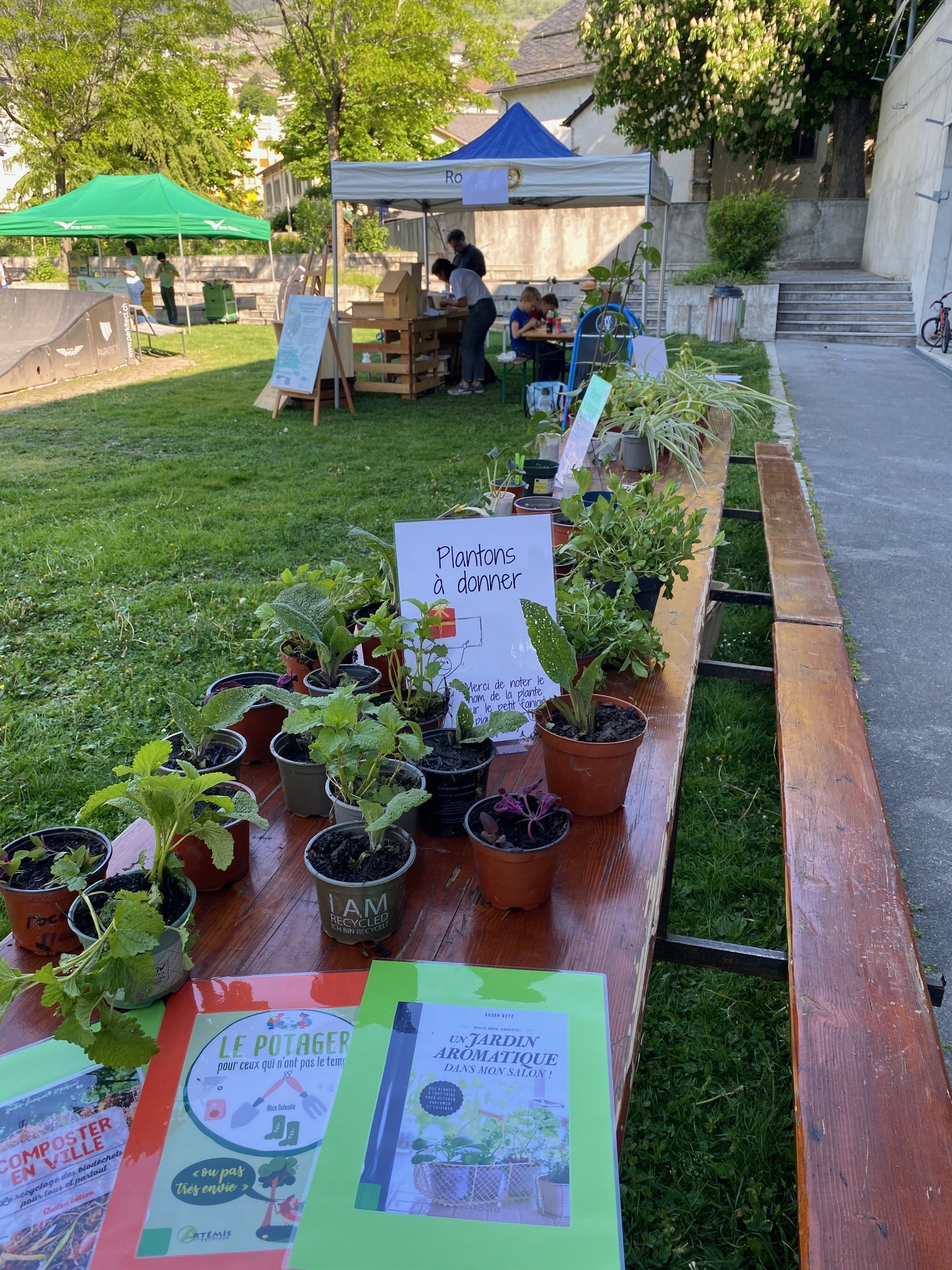 Marché aux plantons