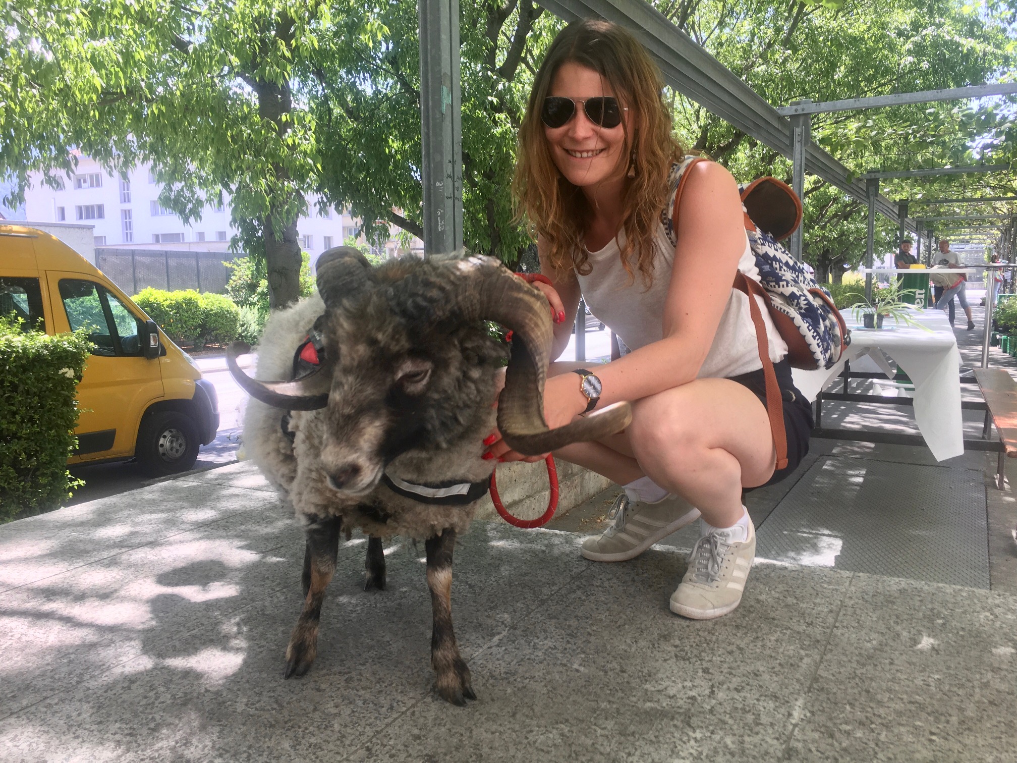 Marché aux plantons