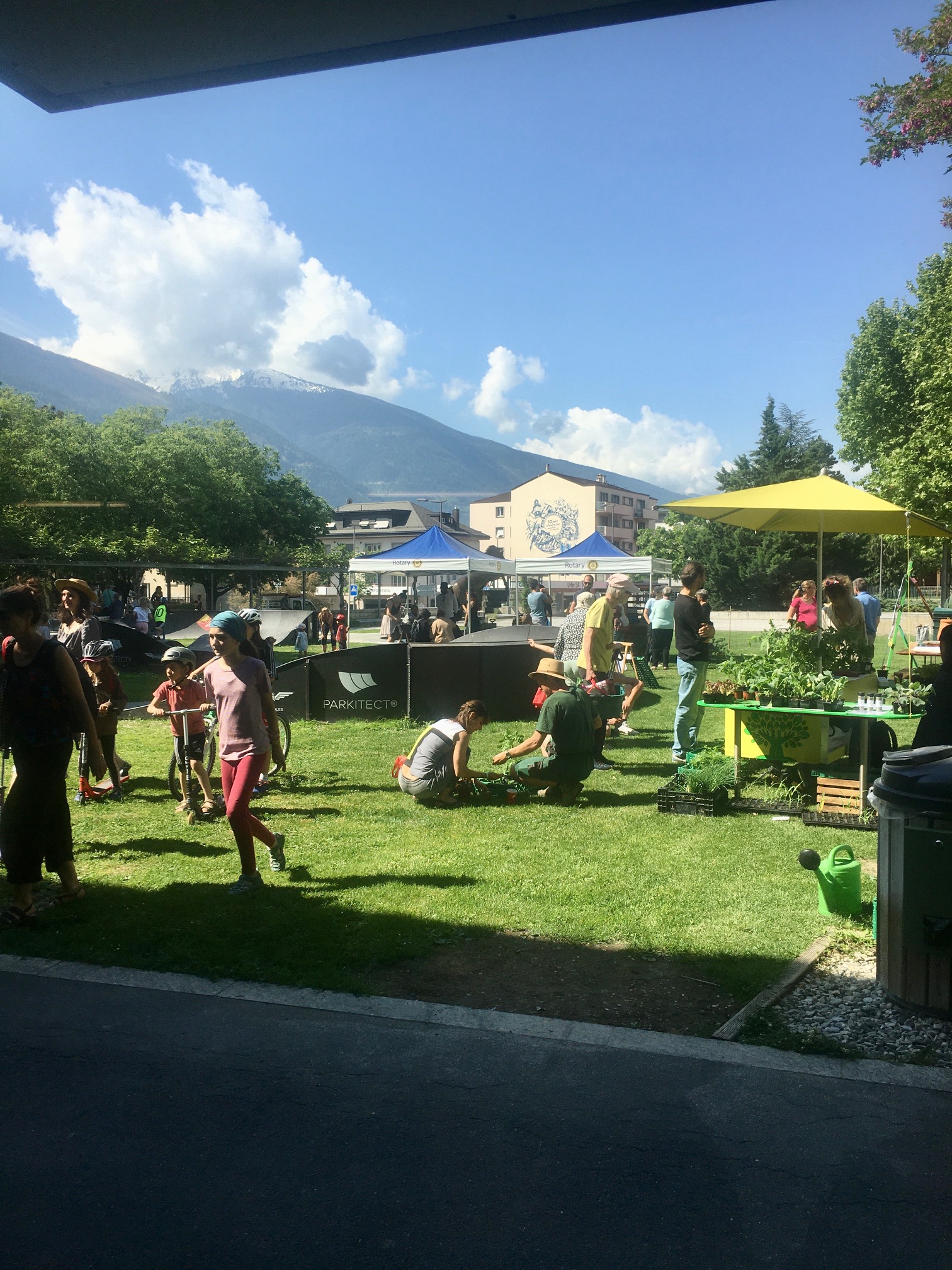 Marché aux plantons