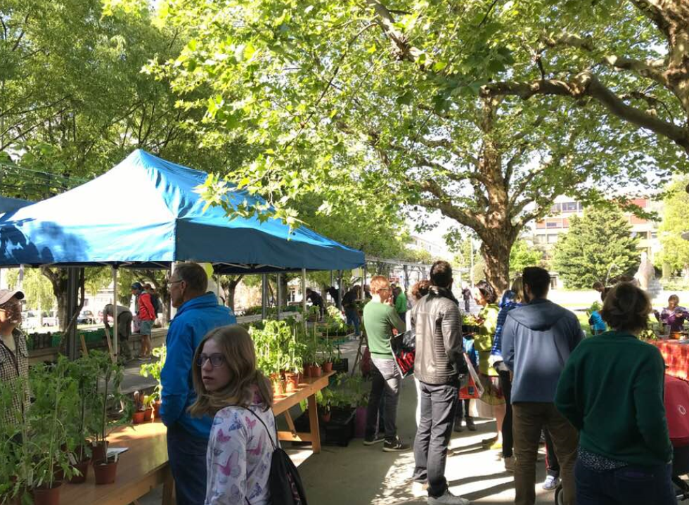 Marché aux plantons 2019
