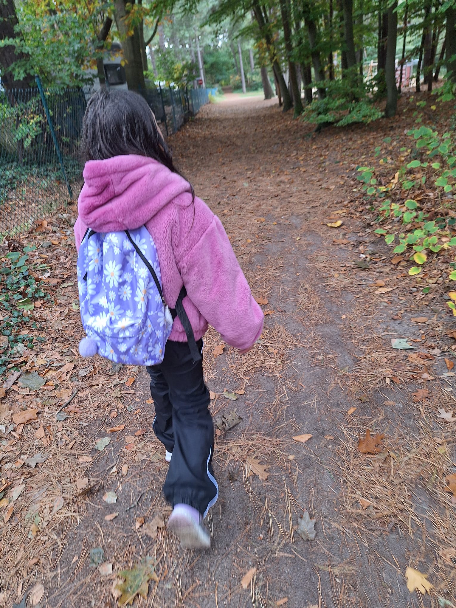 Ein Mädchen geht einen Waldweg entlang.
