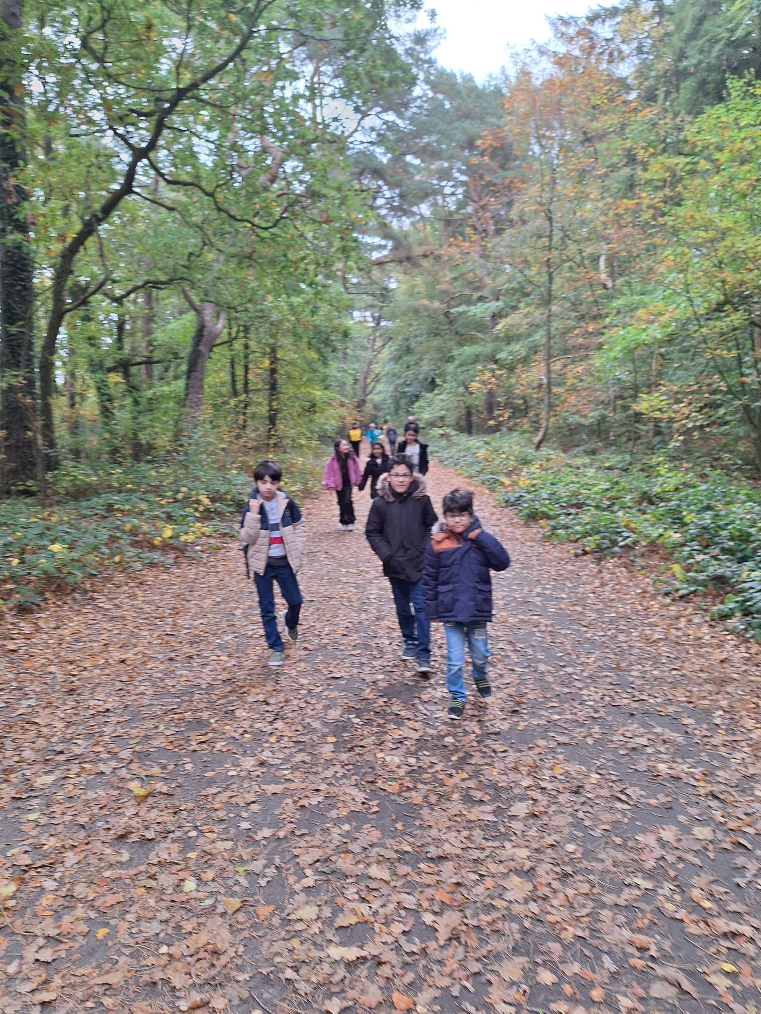 Eine Gruppe Kinder läuft einen Waldweg entlang.