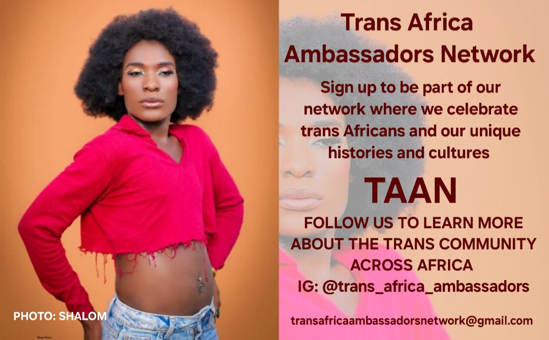 Trans Africa Ambassadors Network (TAAN)