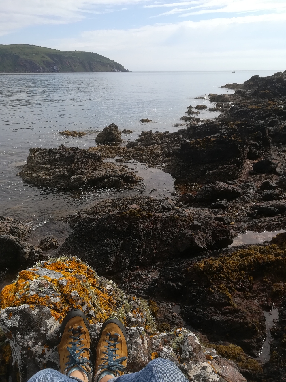 Morgens am Beach in Cromarty