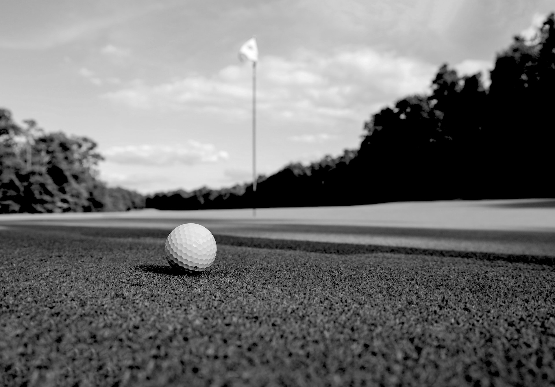 Golfplätze oder erneuerbare Energien – wie nutzt du lieber das Land?