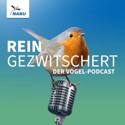 Schutz für unsere gefiederten Freunde – Einblicke in die Arbeit der NABU Wildvogelhilfe Jena