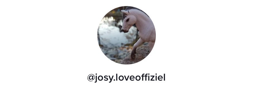 Social Media - josyloves Webseite!