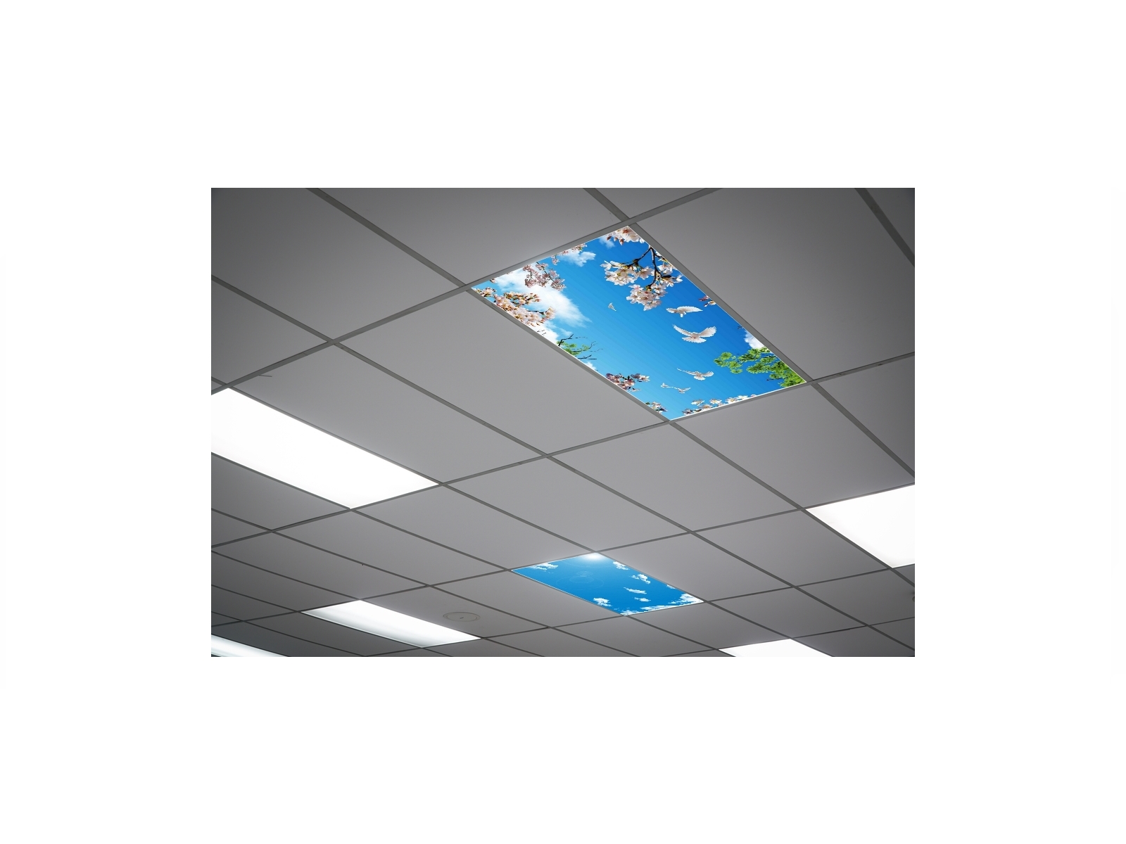 Tageslicht-Panel für Wartebereiche und kleine Räume – LED-Deckenhimmel in 60x120 cm