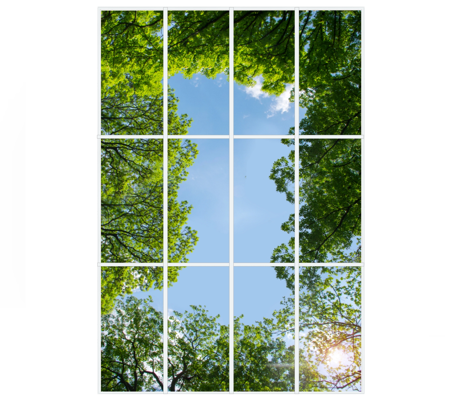LED-Himmelsdecke für große Wartezonen – 3,60 m breit, 2,40 m tief, mit Foto-Motiv