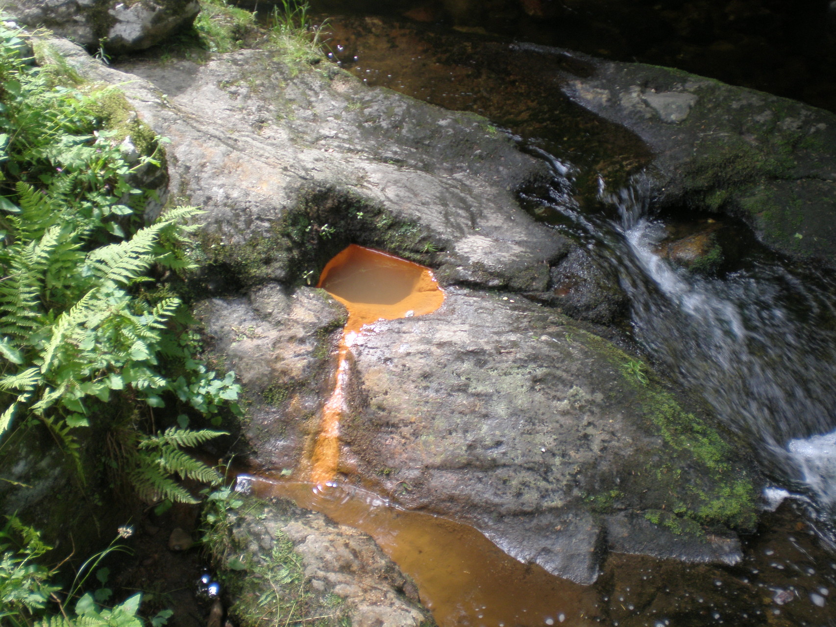 Source de Font-Fort. Où l'eau ferrugineuse sort en plein cours d'eau