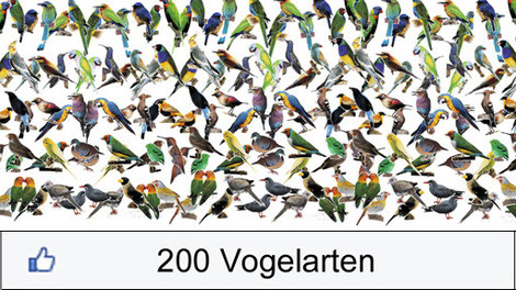 Graphik 200 Vogelarten