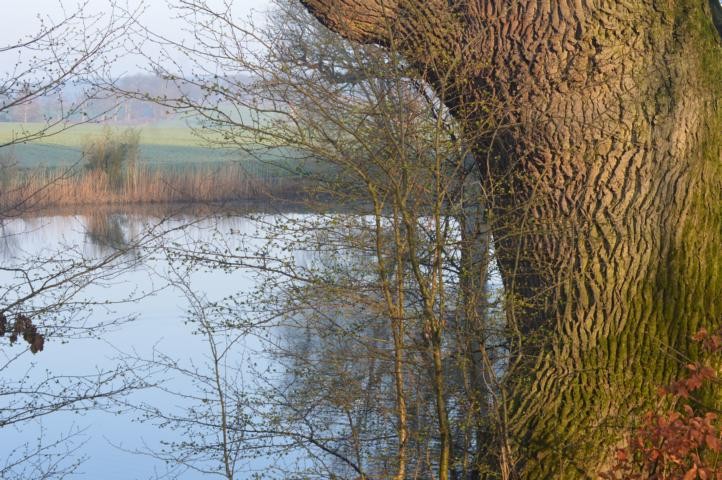 Der Teich am Sandfeld