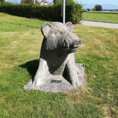 Führung/Besichtigung Wildstation Landshut