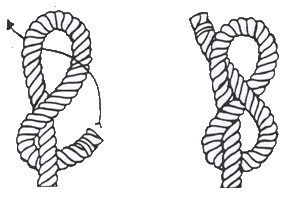 Achterknoten