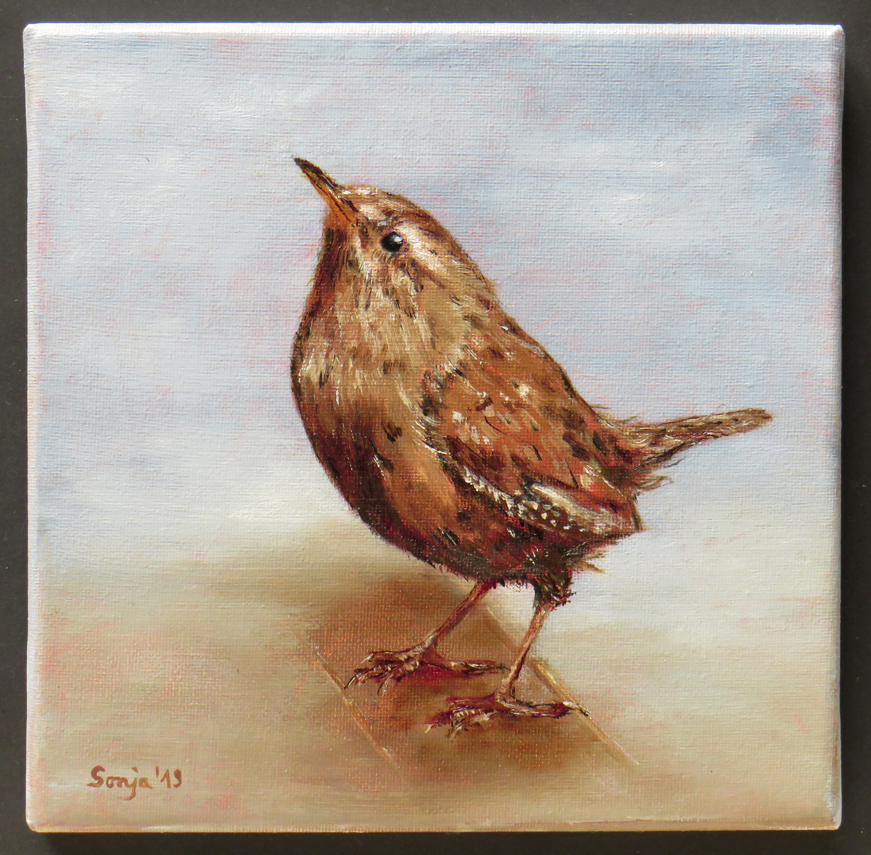 "Zaunkönig", Öl auf Leinwand, 20 x 20cm