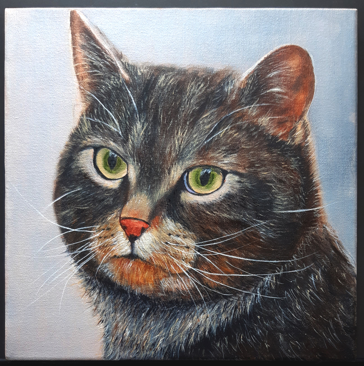 "Kater", Öl auf Leinwand, 30 x 30cm 