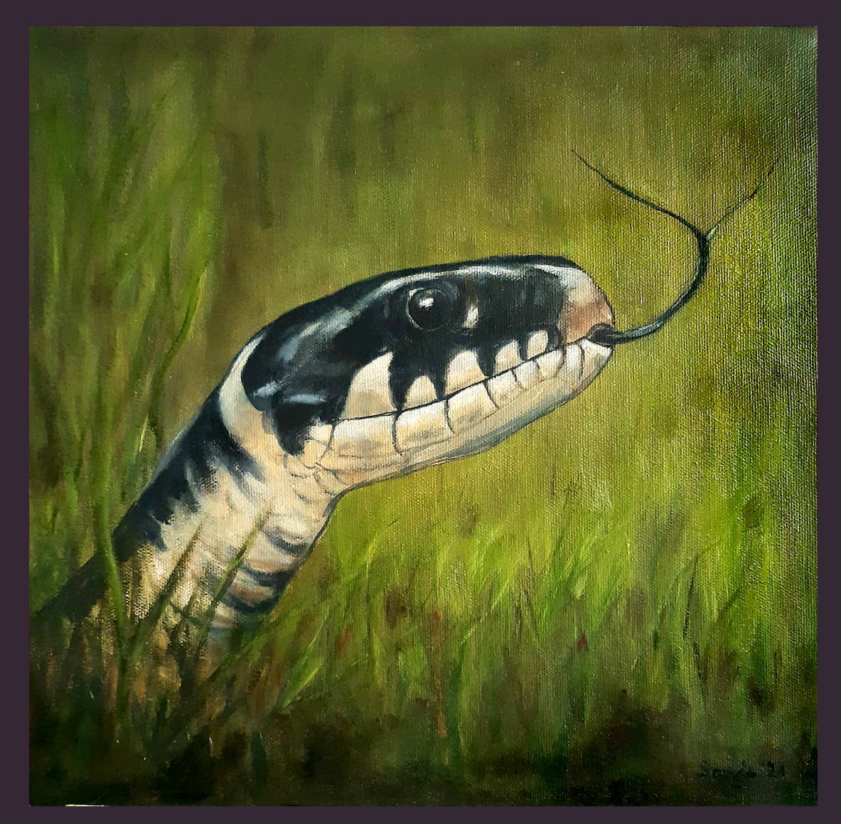 "Ringelnatter", Öl auf Leinwand, 30 x 30 cm