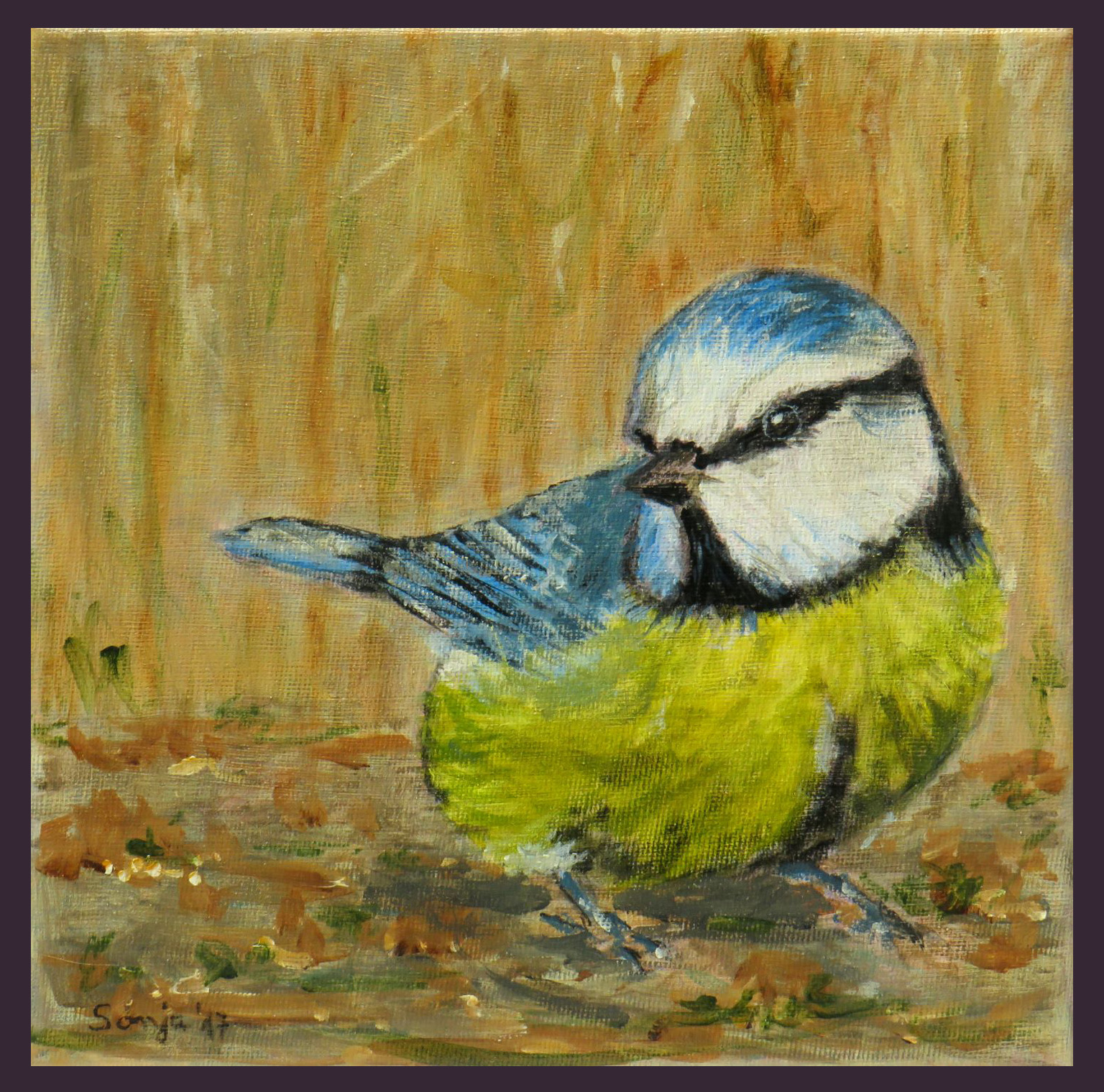 "Blaumeise", Acryl auf Leinwand, 20 x 20cm