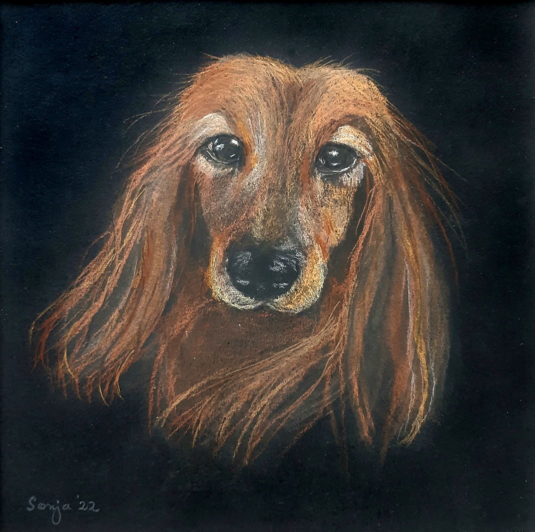 "Wilma", Pastellkreide auf Karton, 25 x 25cm *