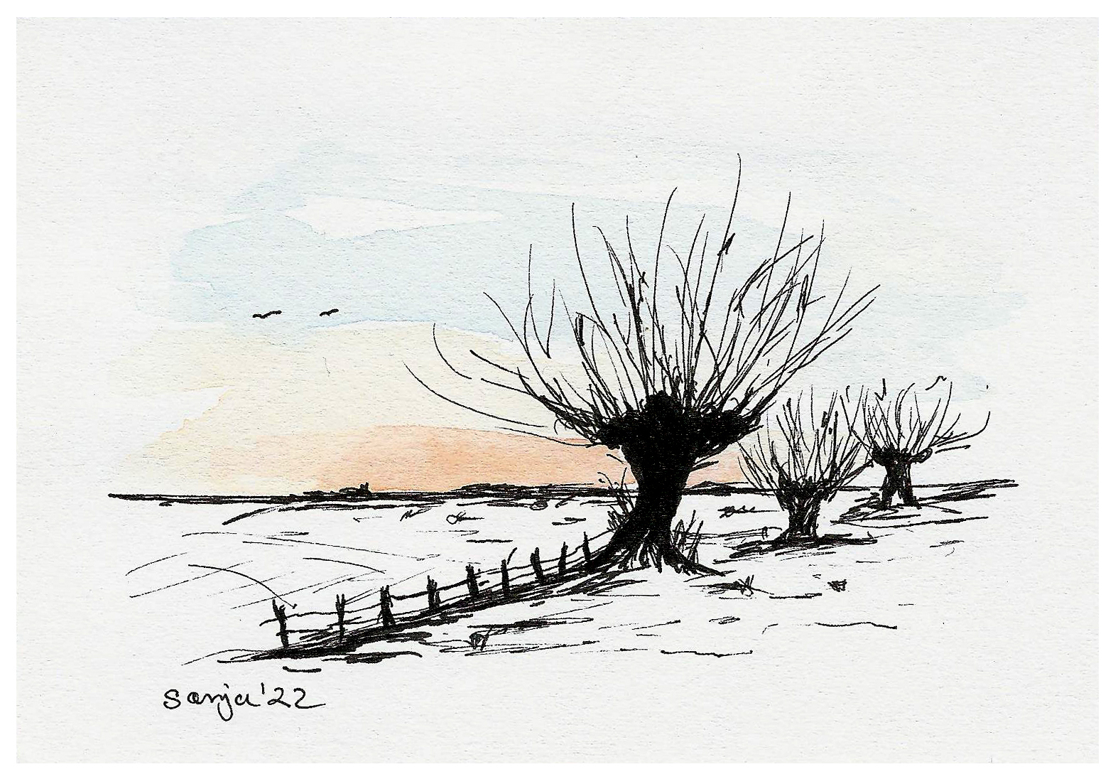 "Kopfweiden", Tusche und Aquarell auf Papier, 9 x 13 cm *