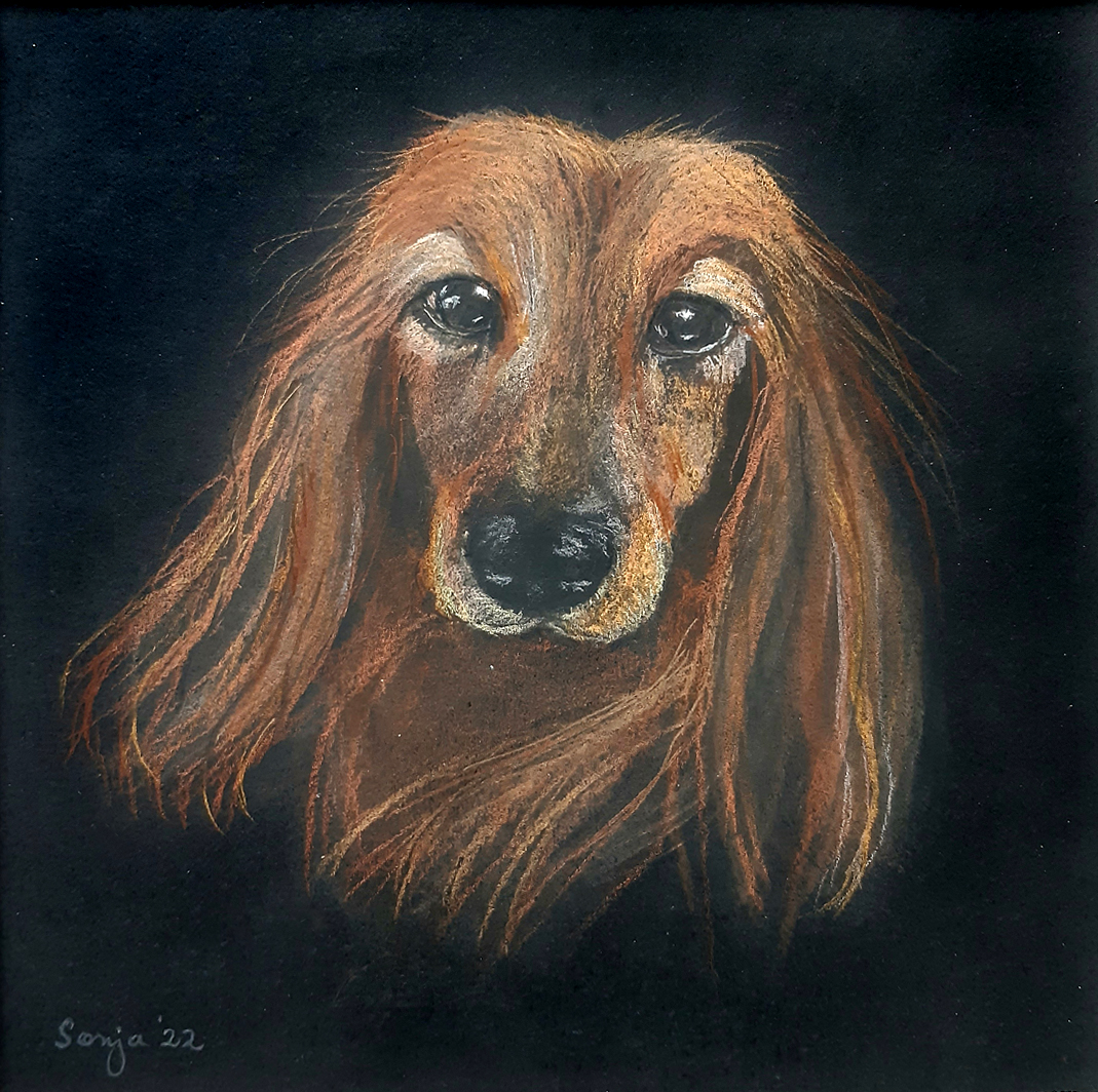 "Wilma", Pastell auf Malkarton, 25 x 25 cm