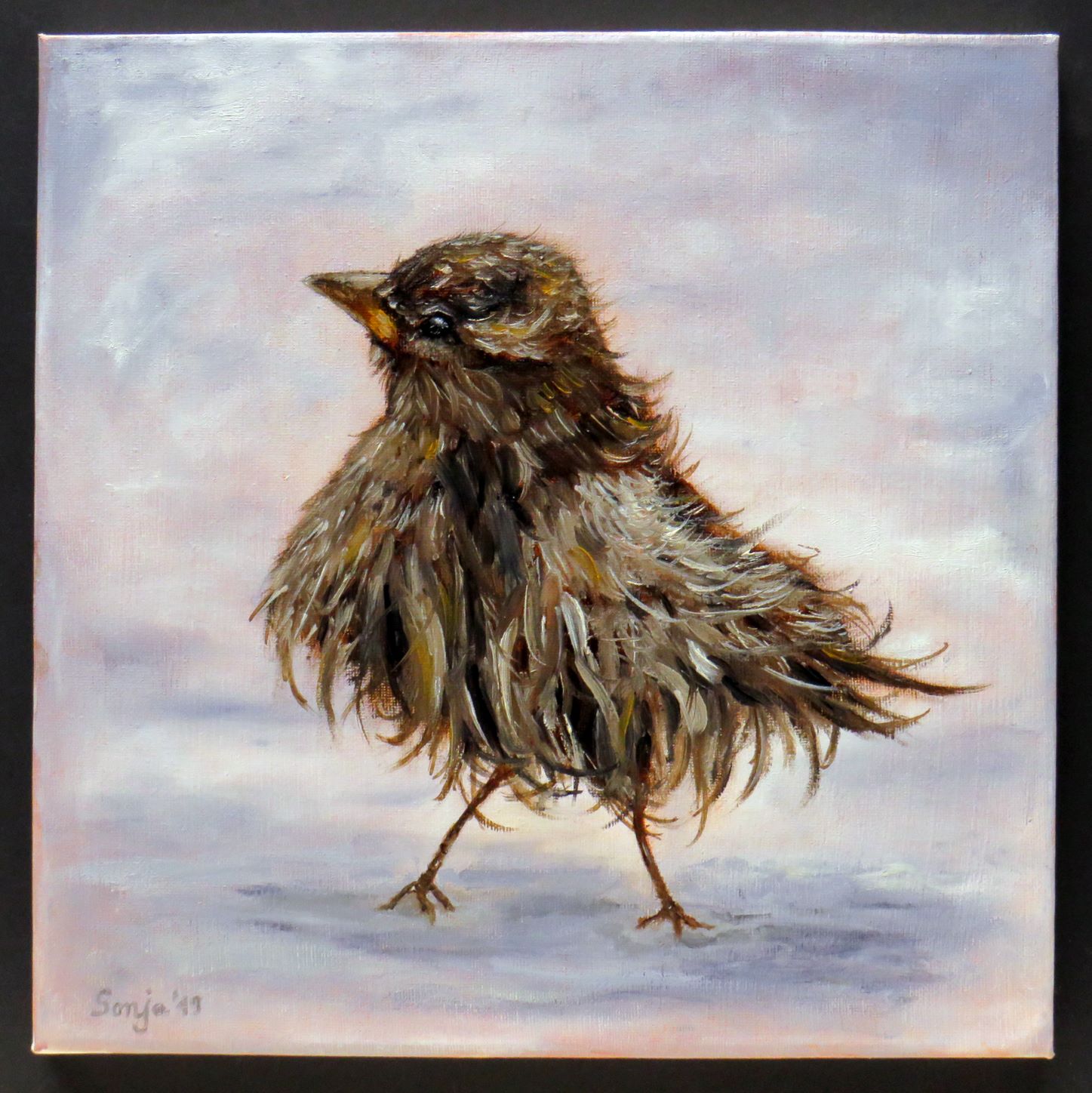 "Zausel", Öl auf Leinwand, 30 x 30cm *