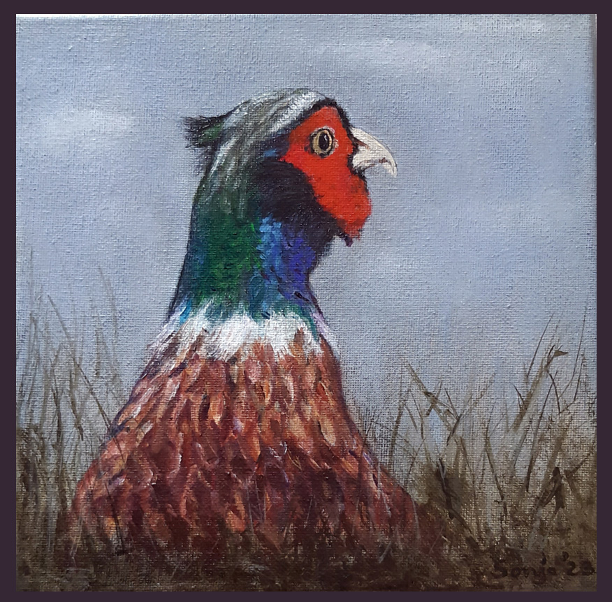 "Fasan", Öl auf Leinwand, 20 x 20cm *