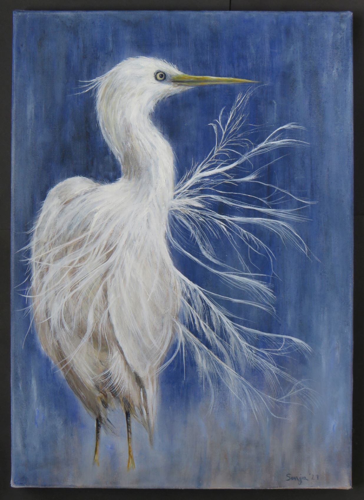 "Silberreiher", Öl auf Leinwand, 50 x 70cm *